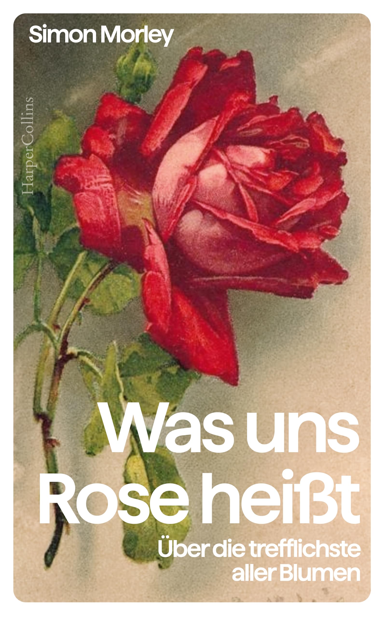 Was uns Rose heißt. Über die trefflichste aller Blumen Social Sciences