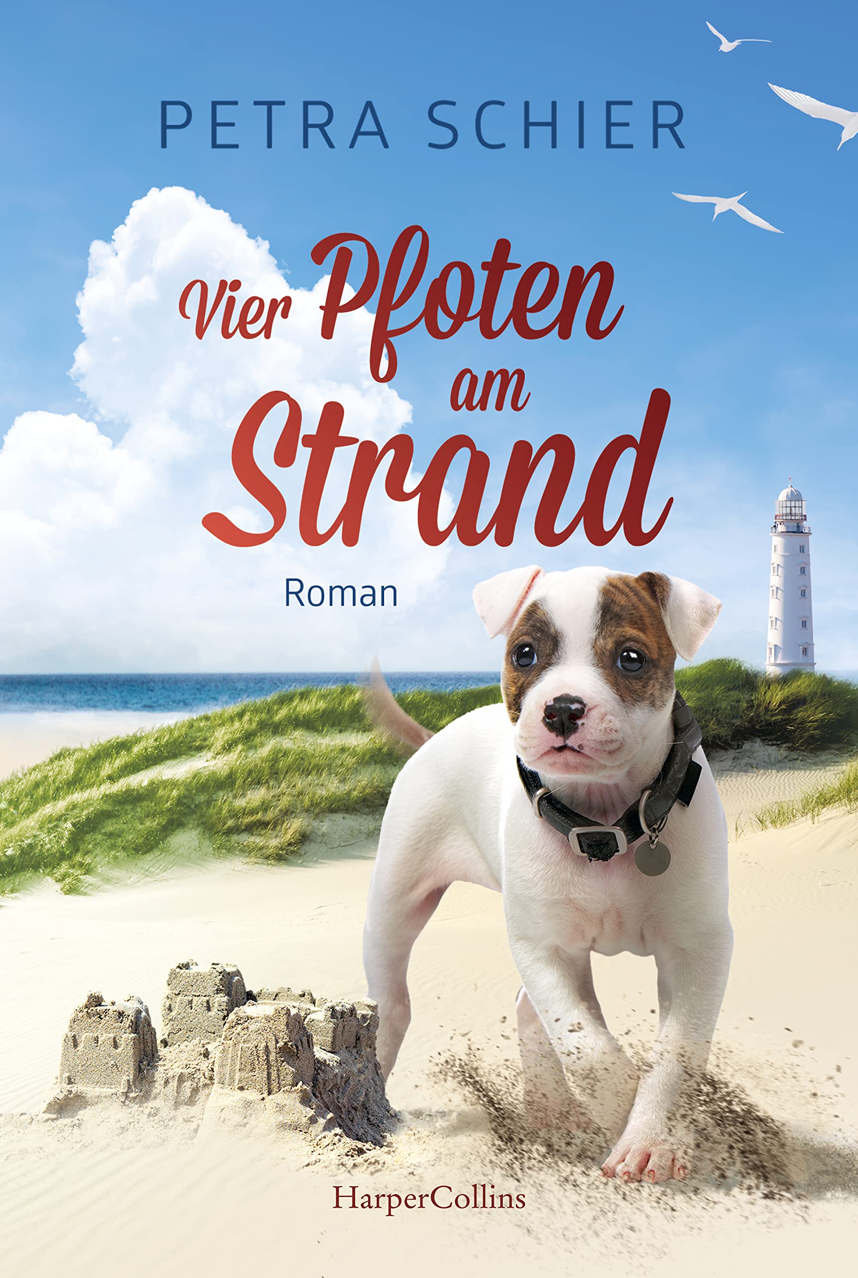 Vier Pfoten am Strand (Lichterhaven, Band 2) Contemporary literature