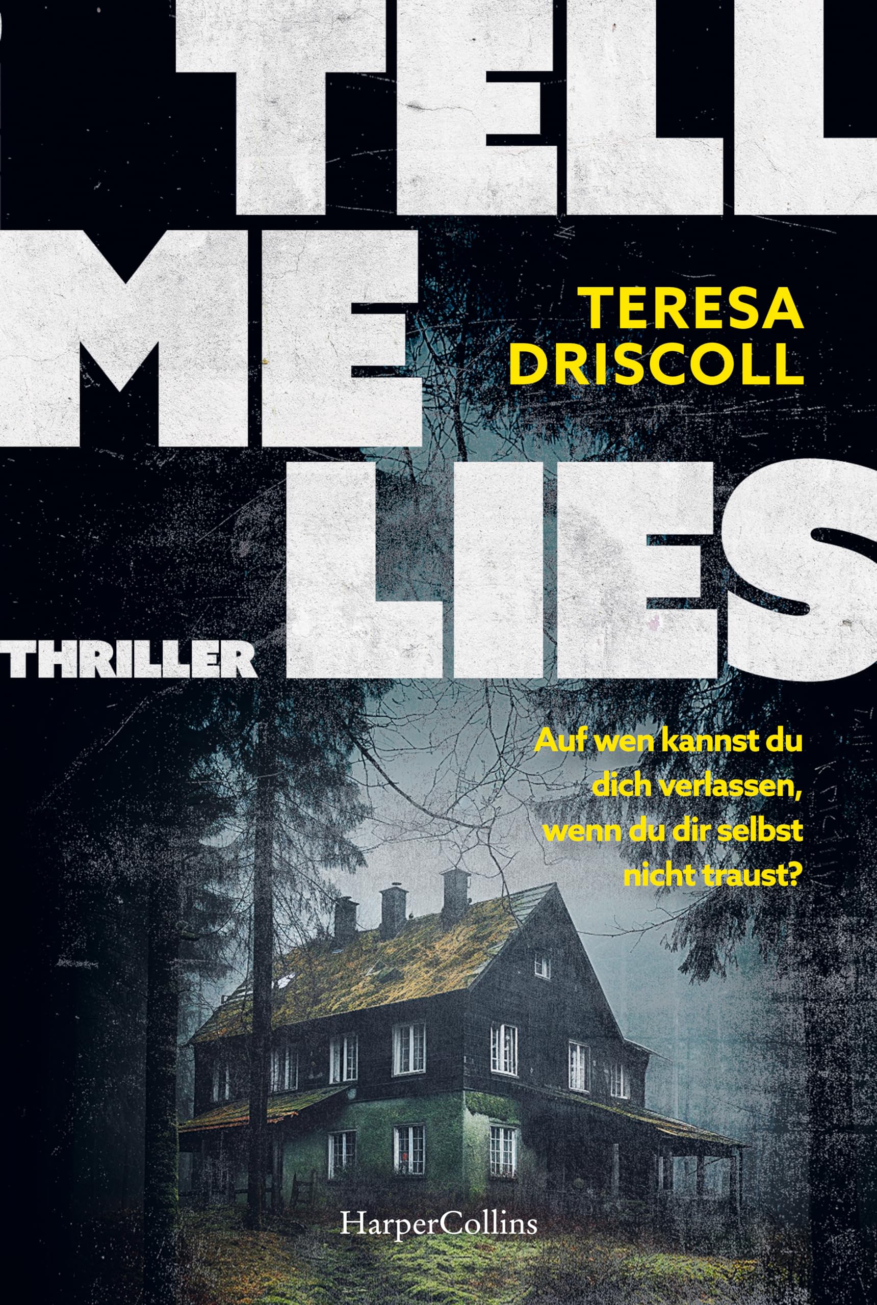 Tell Me Lies Contemporary literature