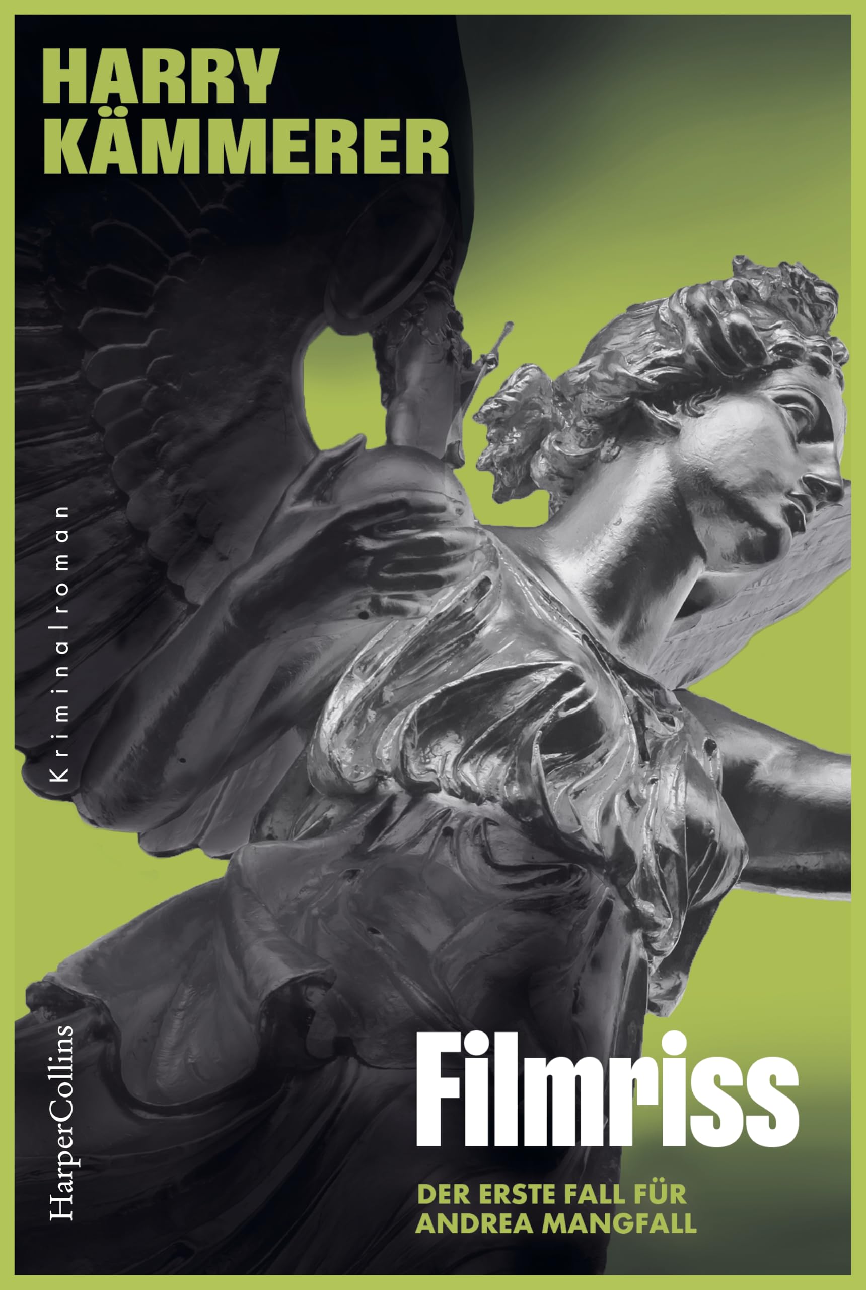 Filmriss Contemporary literature Books