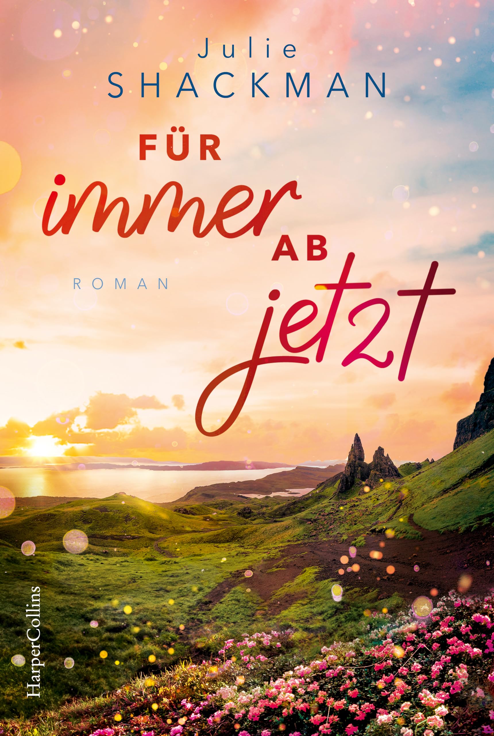 Für immer ab jetzt Contemporary literature
