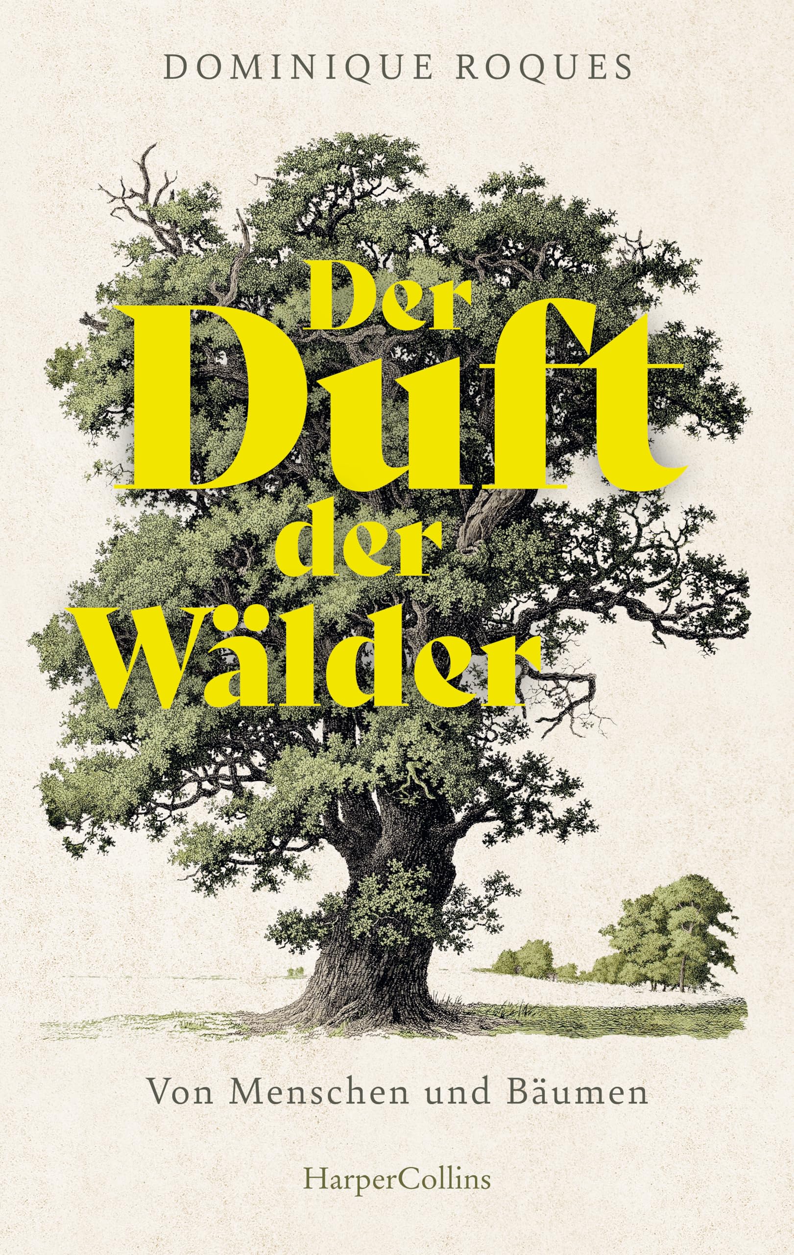 Der Duft der Wälder. Von Menschen und Bäumen Law