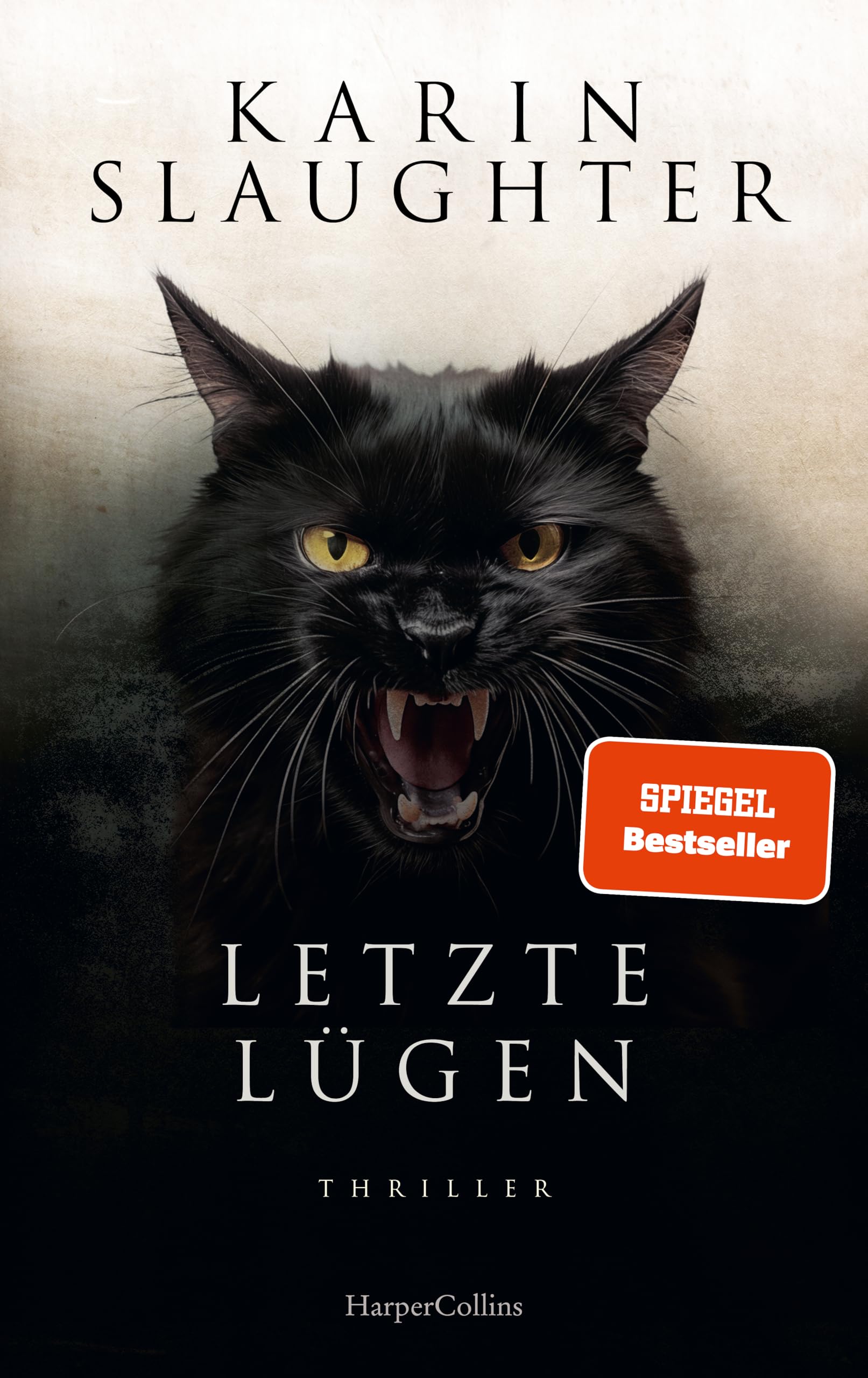 Letzte Lügen Contemporary literature Books