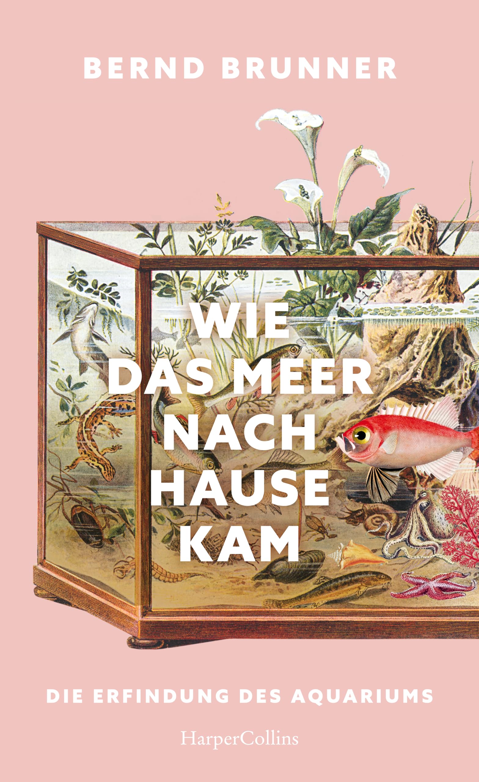 Wie das Meer nach Hause kam. Die Erfindung des Aquariums Geology & Geography