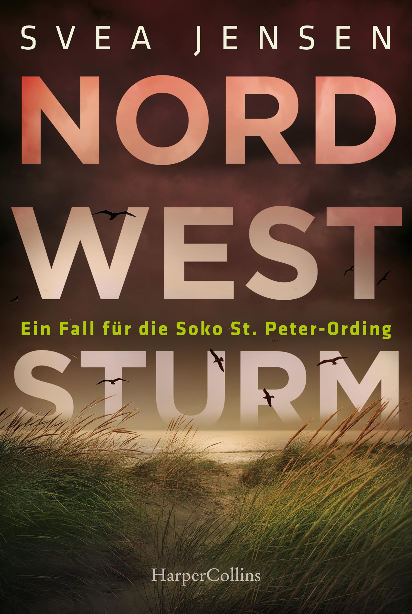 Nordweststurm Contemporary literature Books