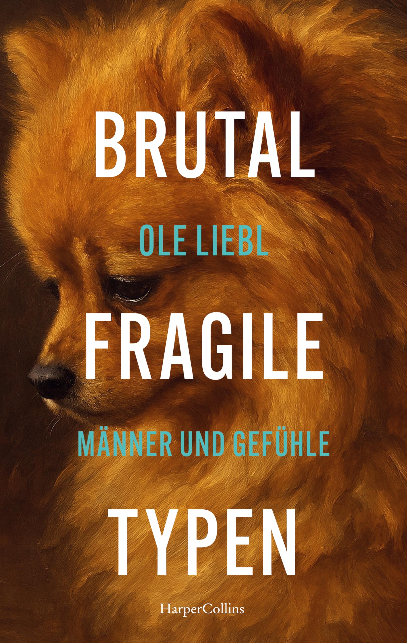 Brutal fragile Typen. Männer und Gefühle Books