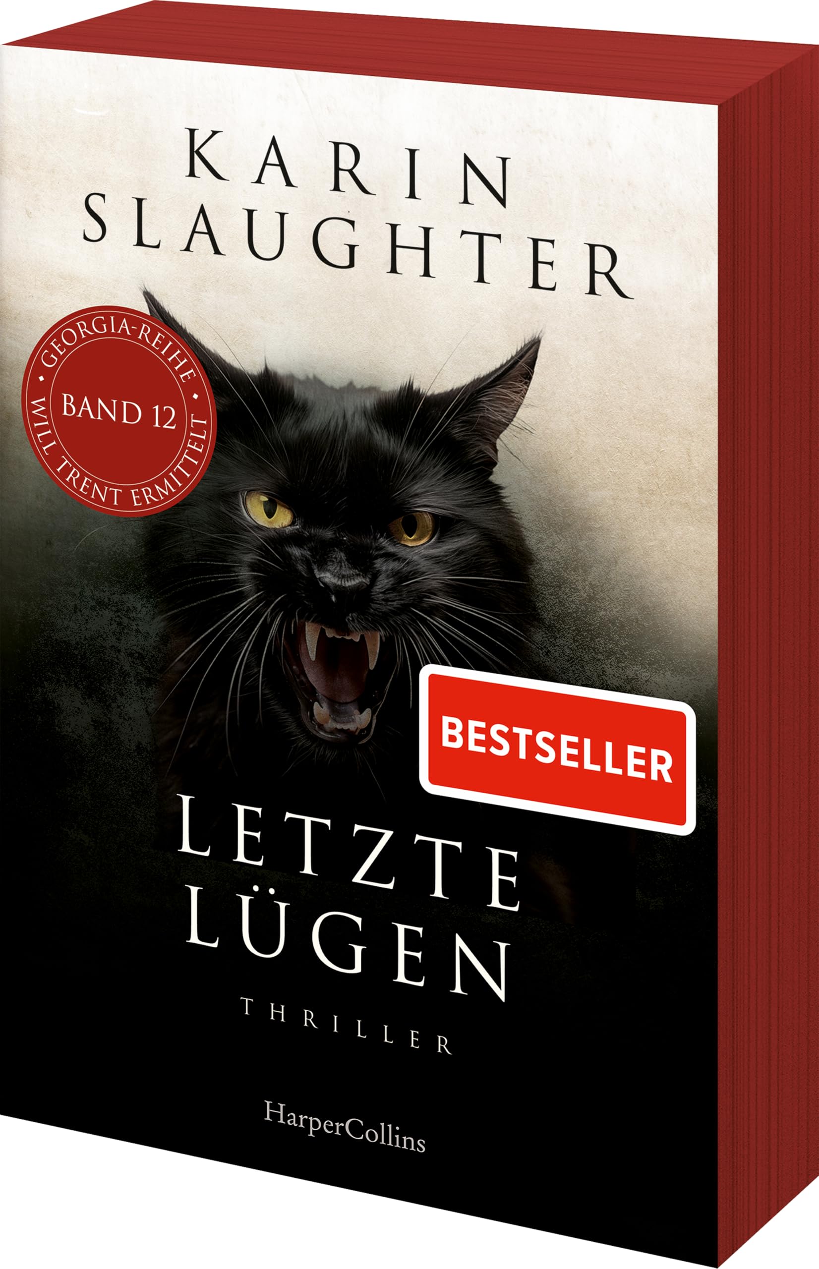 Letzte Lügen Contemporary literature Books