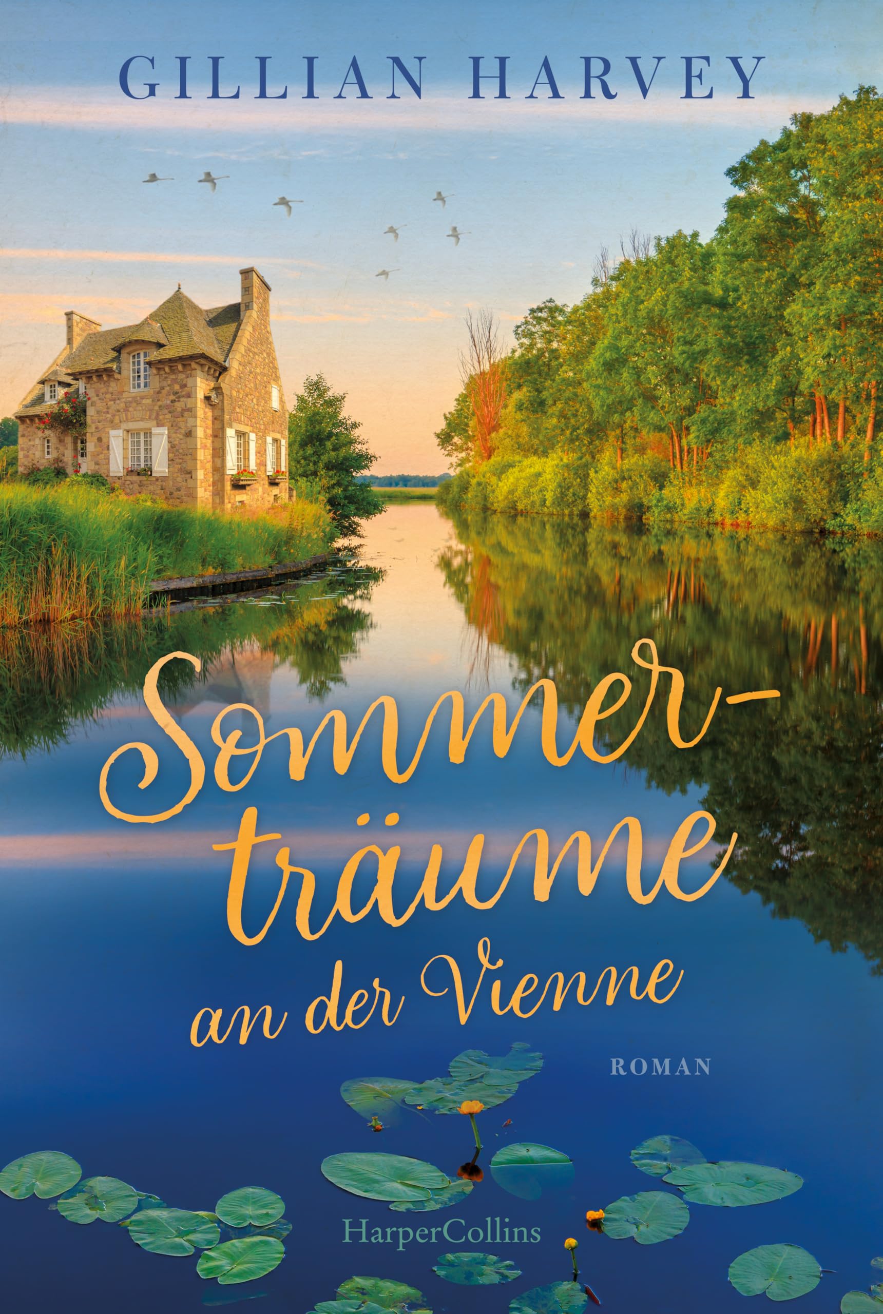 Sommerträume an der Vienne Contemporary literature Books