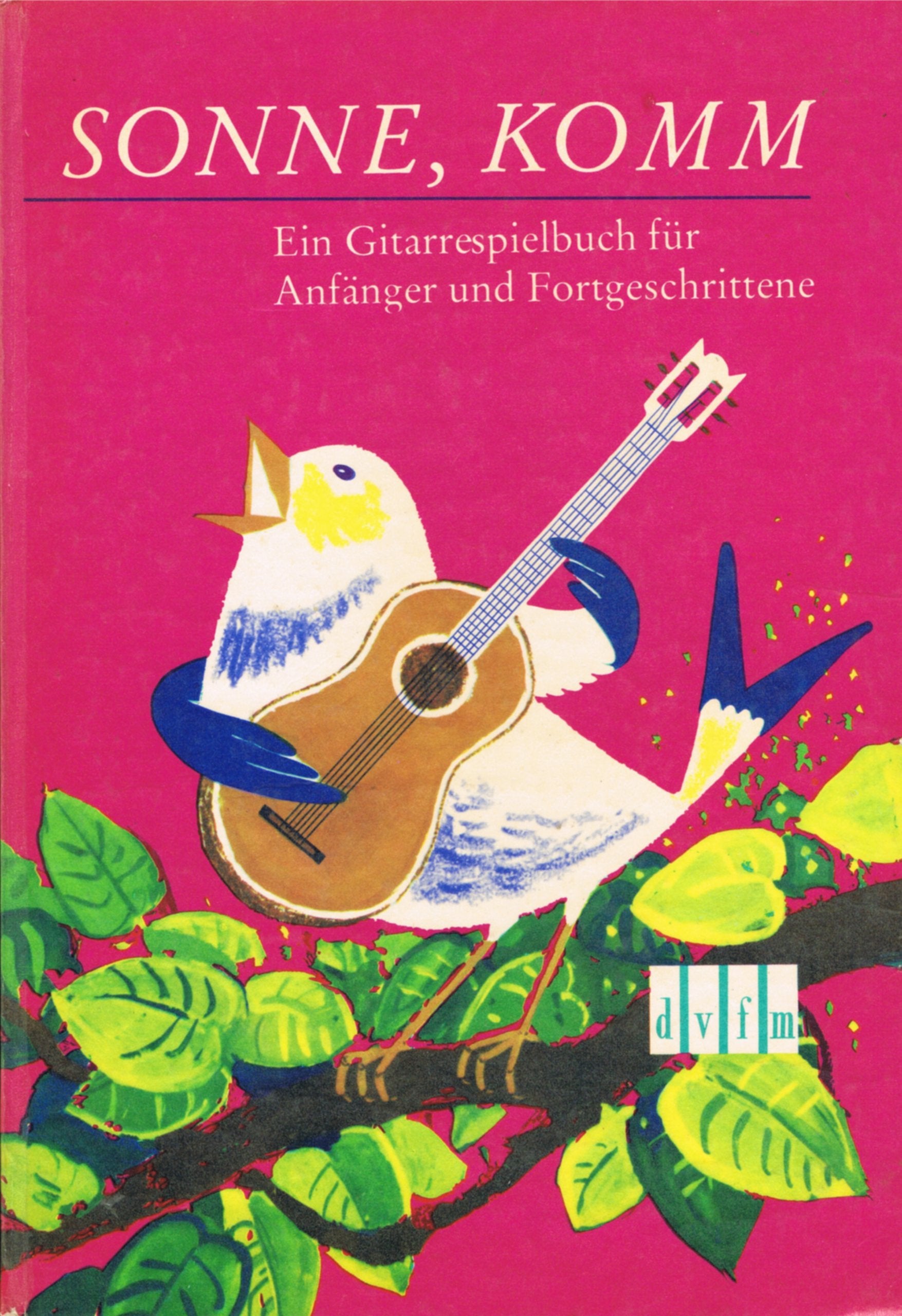 Sonne, komm. Ein Gitarrespielbuch für Anfänger und Fortgeschrittene Business & Technology