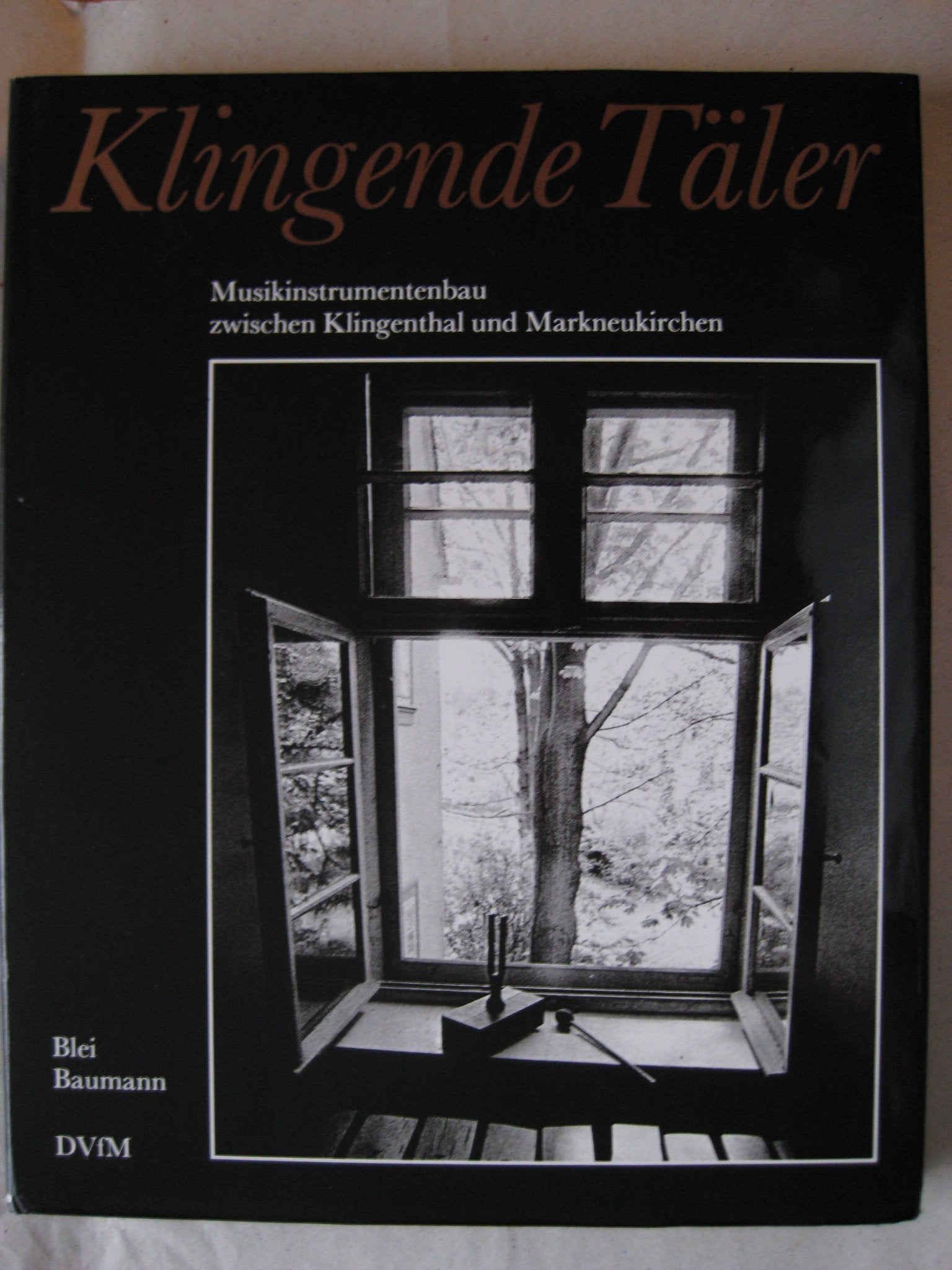 Klingende Täler. Musikinstrumentenbau zwischen Klingenthal und Markneukirchen Books
