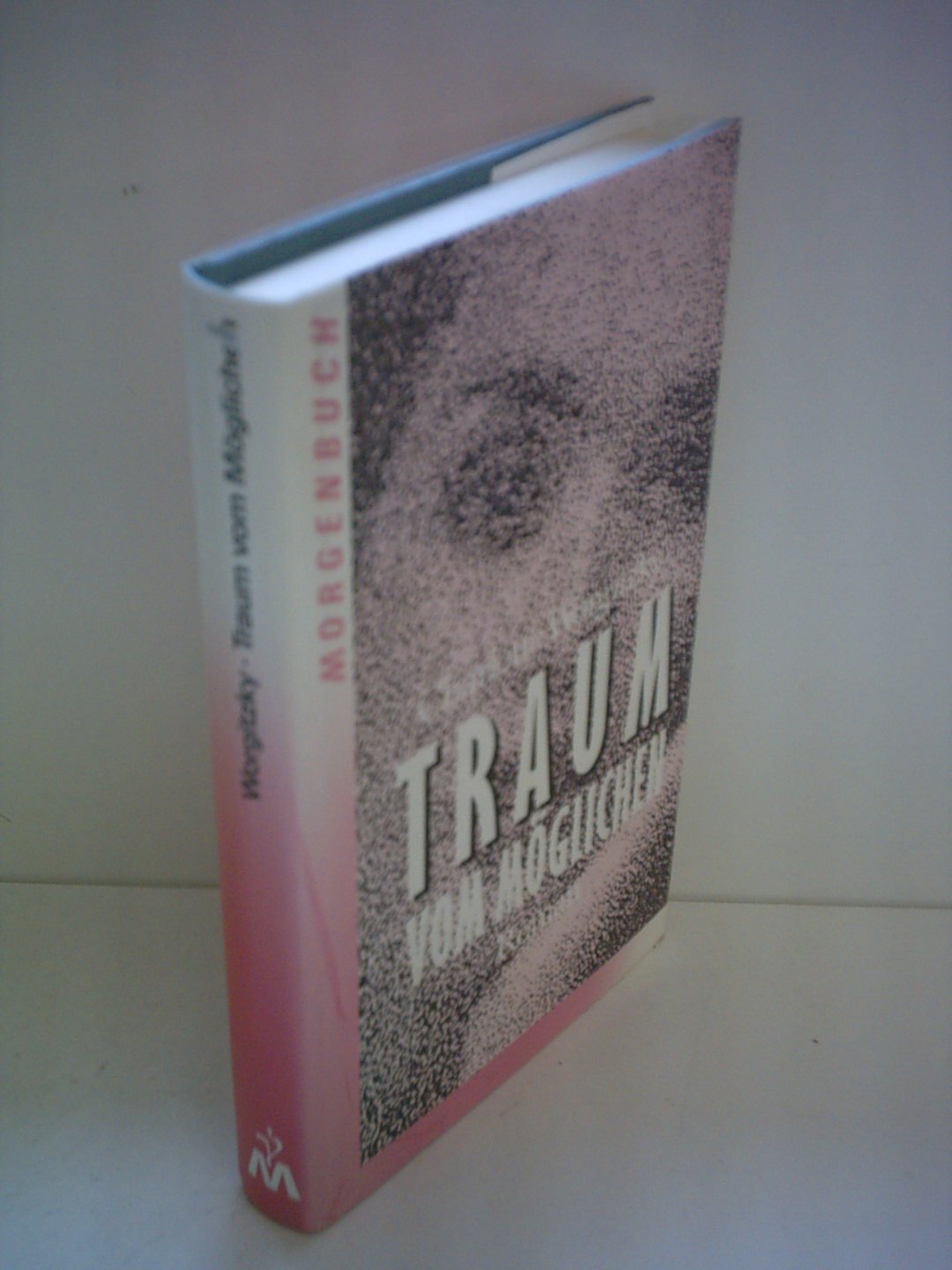 Traum vom Möglichen: Roman Contemporary literature