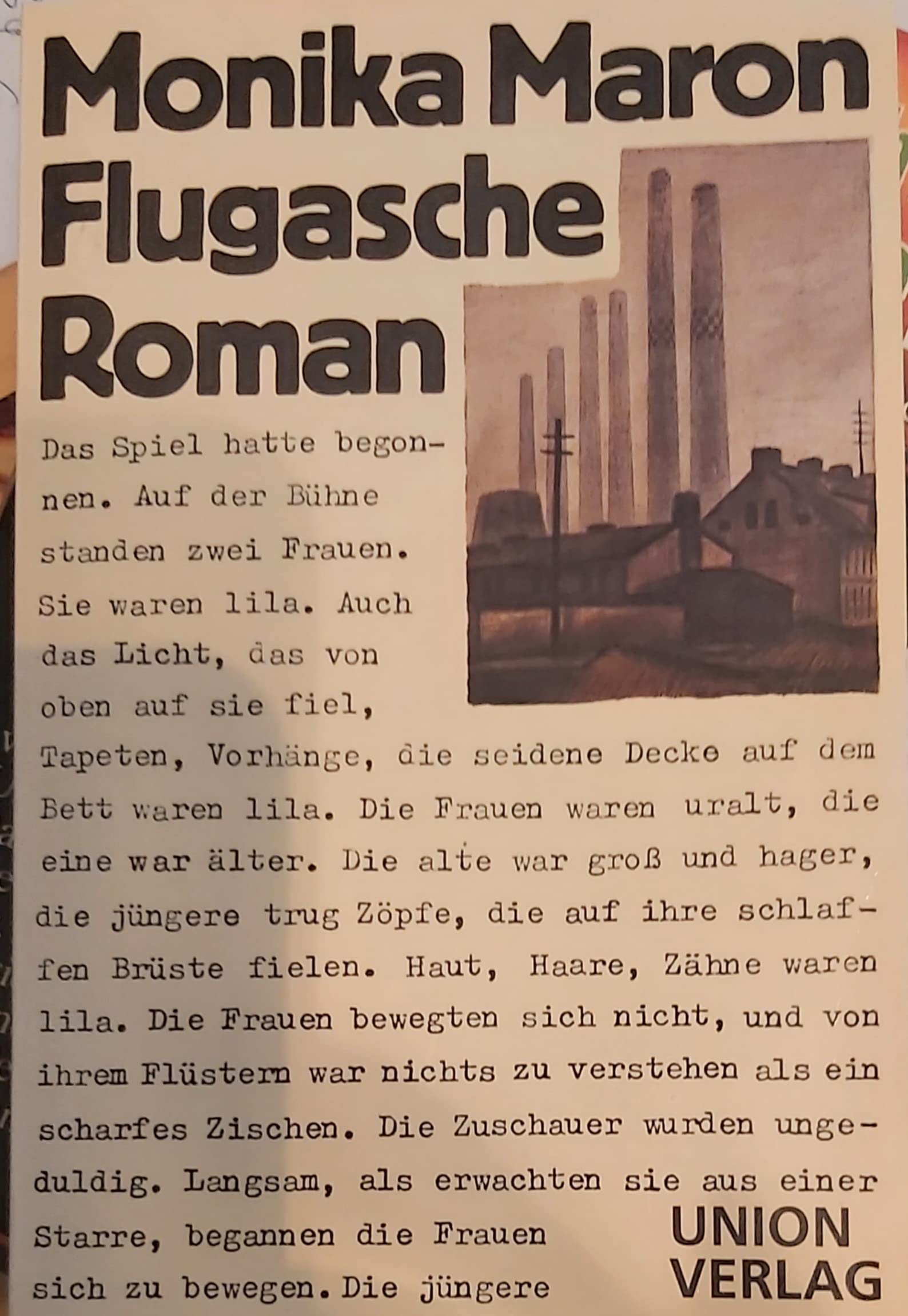 Flugasche: Roman. Contemporary literature Books