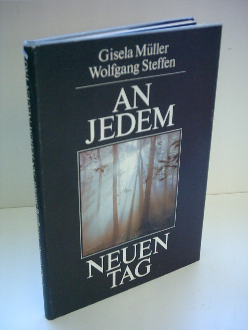 Product Image: Gisela Müller: An jedem Neuen Tag