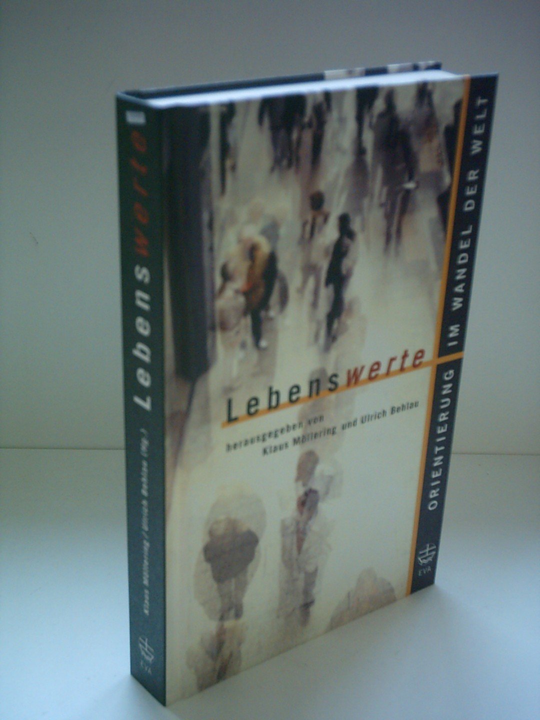 Lebenswerte. Orientierung im Wandel der Welt. Religion & Esotericism