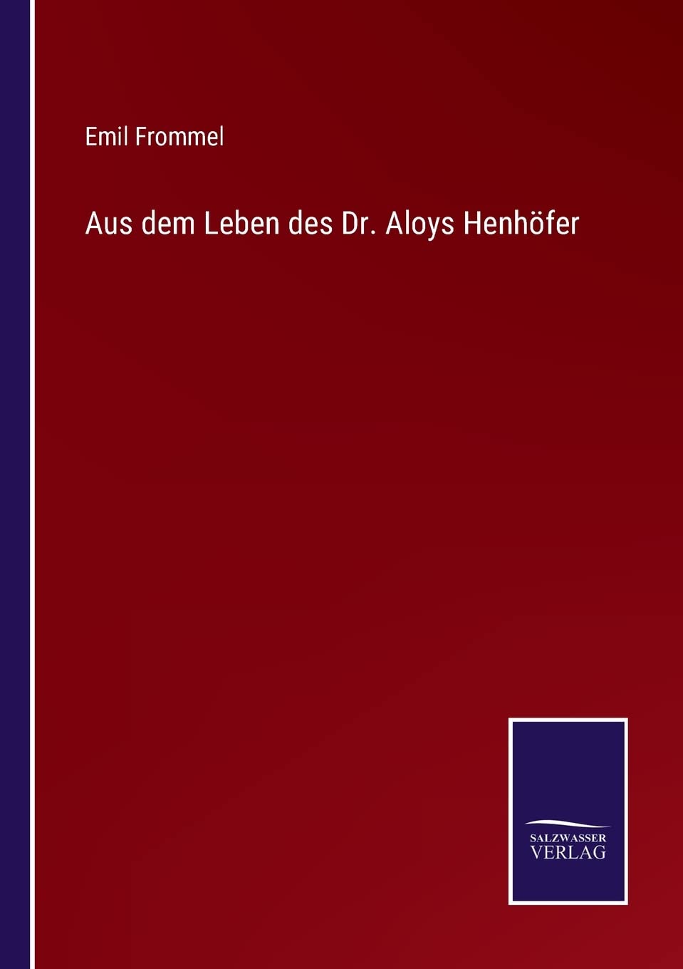 Aus dem Leben des Dr. Aloys Henhöfer Contemporary literature