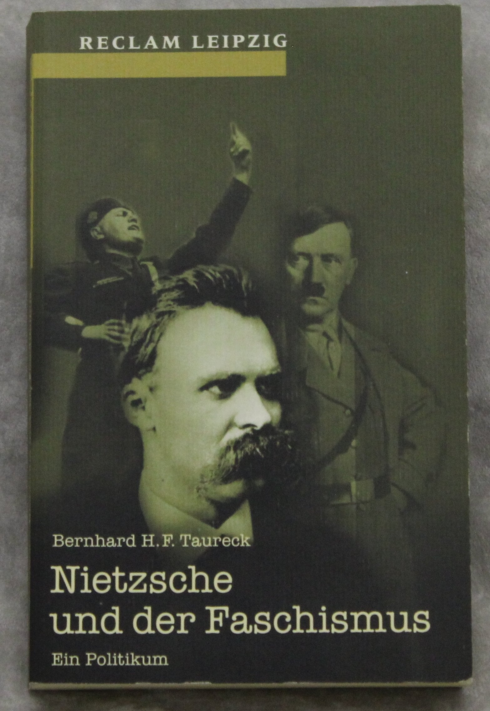 Nietzsche und der Faschismus Philosophy