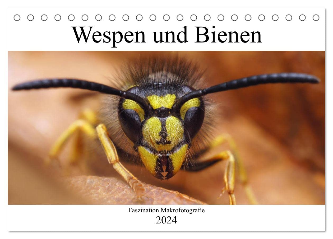 Faszination Makrofotografie: Wespen und Bienen (Tischkalender 2024 DIN A5 quer), CALVENDO Monatskalender: Wunderschöne Makroaufnahmen von Bienen und Wespen (CALVENDO Tiere) Natural Sciences