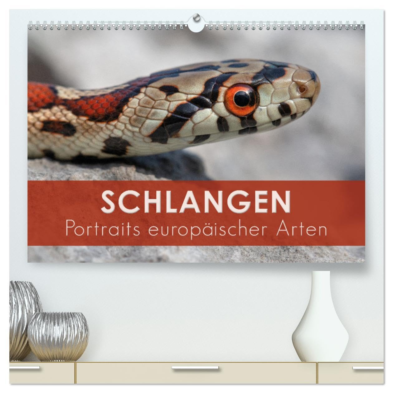 Schlangen - Portraits europäischer Arten (hochwertiger Premium Wandkalender 2024 DIN A2 quer), Kunstdruck in Hochglanz: Makroaufnahmen von Schlangen aus Europa (CALVENDO Tiere) Photography
