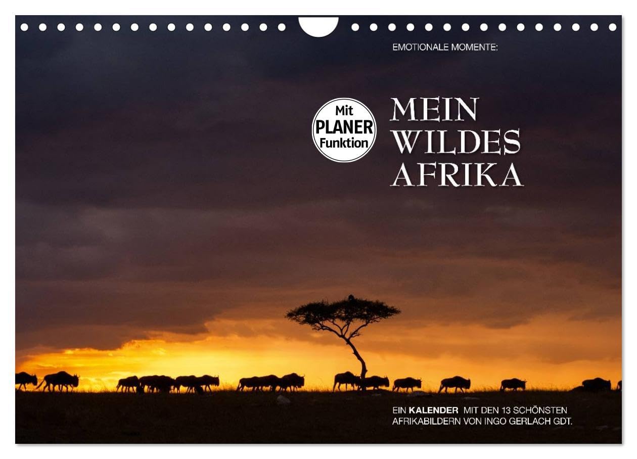 Emotionale Momente: Mein wildes Afrika (Wandkalender 2024 DIN A4 quer), CALVENDO Monatskalender: Dramatische und zugleich wunderschöne Bilder von Afrikas Tierleben. (CALVENDO Tiere) Natural Sciences