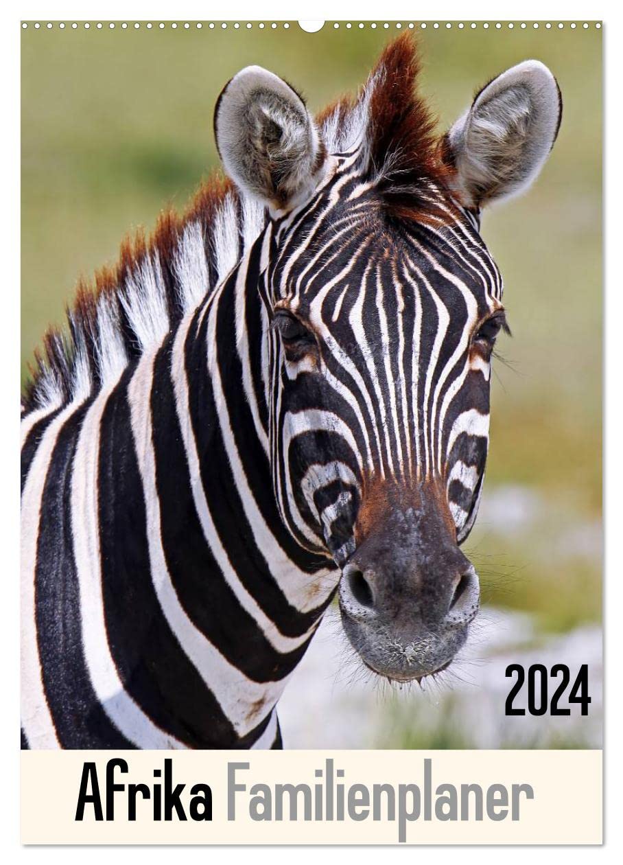 Afrika Familienplaner (Wandkalender 2024 DIN A2 hoch), CALVENDO Monatskalender: Tiere und Landschaften erleben (CALVENDO Orte) Film, Art & Culture