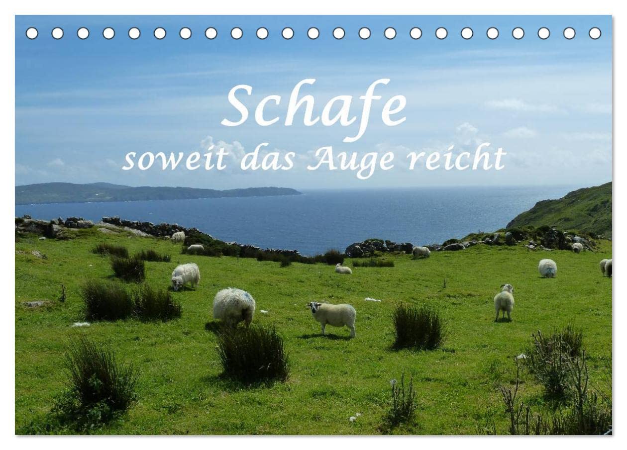 Schafe - soweit das Auge reicht (Tischkalender 2024 DIN A5 quer), CALVENDO Monatskalender: Schafe von Klein bis Groß (CALVENDO Tiere) Natural Sciences