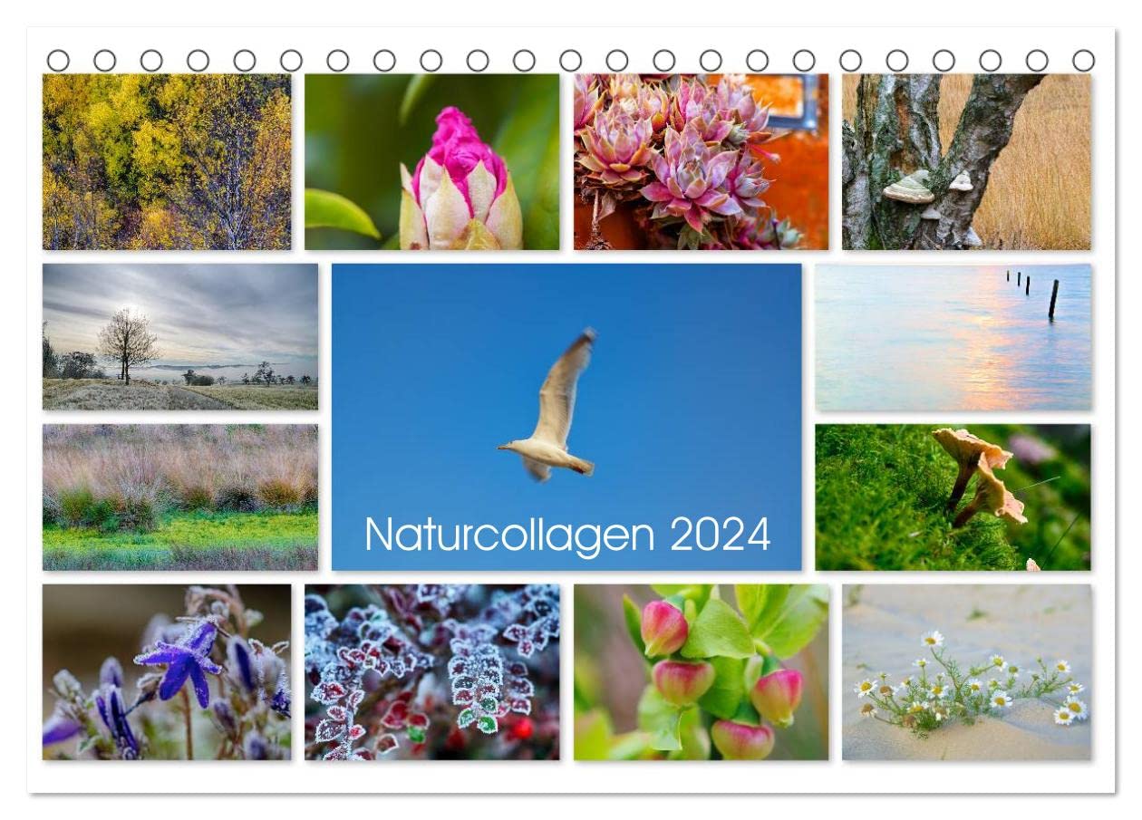 Naturcollagen 2024 (Tischkalender 2024 DIN A5 quer), CALVENDO Monatskalender: Collagen aus Naturimpressionen (CALVENDO Natur) Social Sciences