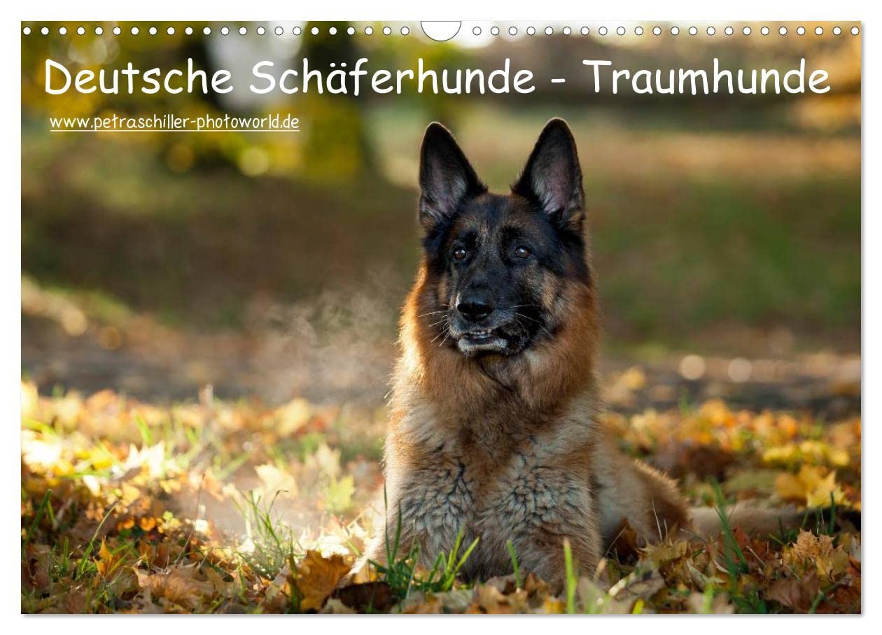 Deutsche Schäferhunde - Traumhunde (Wandkalender 2024 DIN A3 quer), CALVENDO Monatskalender: Sie haben mich verzaubert... (CALVENDO Tiere) Natural Sciences