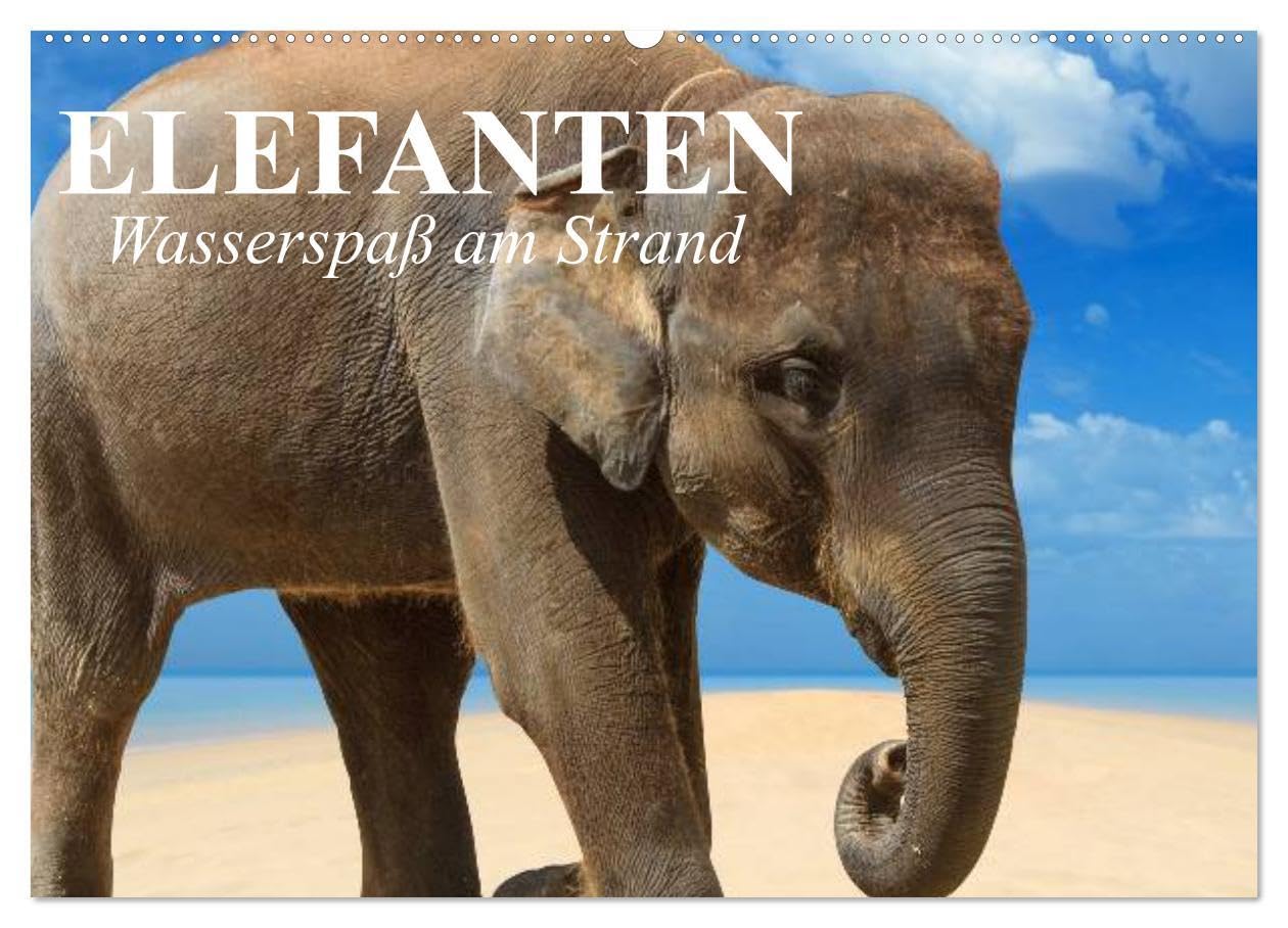 Elefanten - Wasserspaß am Strand (Wandkalender 2024 DIN A2 quer), CALVENDO Monatskalender: Süße Elefanten beim Planschen und Spielen am Strand (CALVENDO Tiere) Living & Furnishing