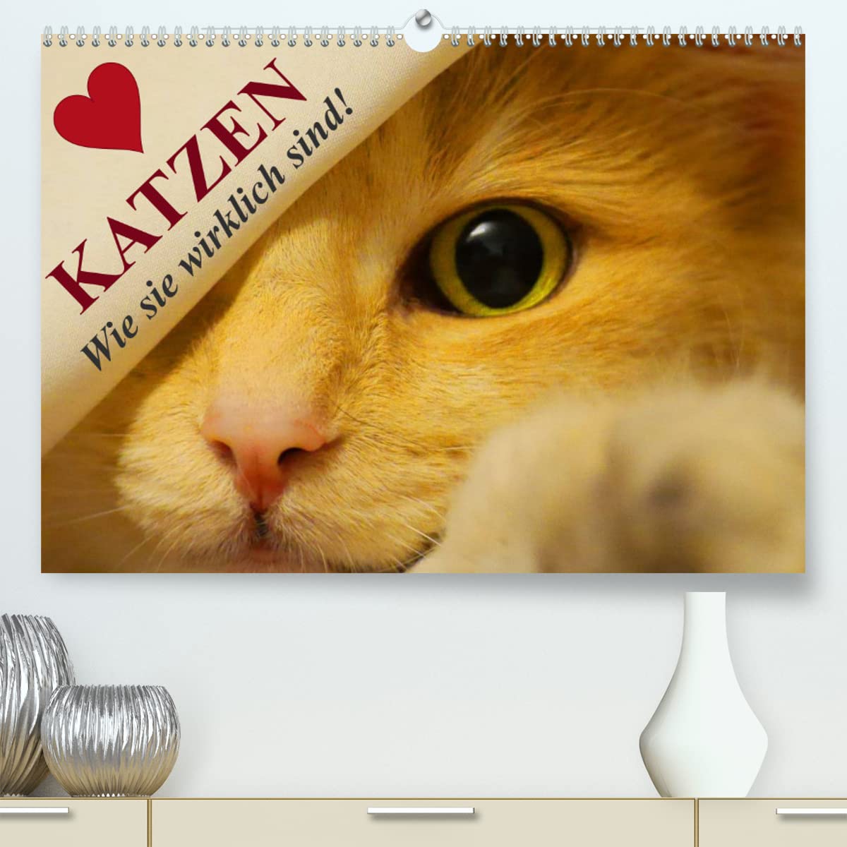 Katzen • Wie sie wirklich sind! (hochwertiger Premium Wandkalender 2024 DIN A2 quer), Kunstdruck in Hochglanz: Die Wahrheit über Katzen! (CALVENDO Tiere) Living & Furnishing