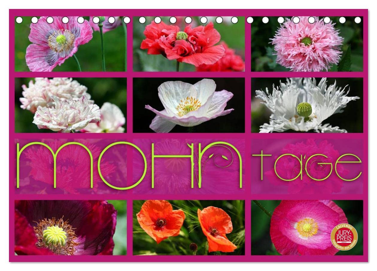 Mohn Tage (Tischkalender 2024 DIN A5 quer), CALVENDO Monatskalender: Mohn in seiner schönsten Form - Geniessen Sie 12 wunderbare Mohn Portraits (CALVENDO Natur) Social Sciences