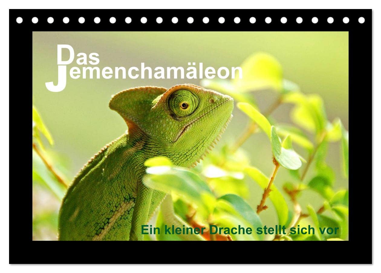 Das Jemenchamäleon (Tischkalender 2024 DIN A5 quer), CALVENDO Monatskalender: Ein kleiner Drache stellt sich vor (CALVENDO Tiere) Natural Sciences