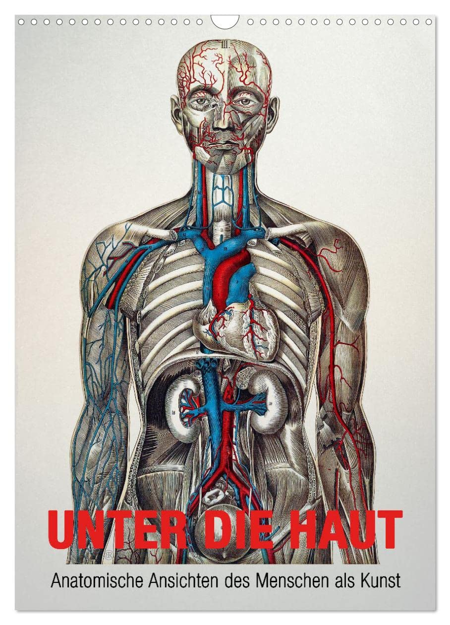 Unter die Haut (Wandkalender 2024 DIN A3 hoch), CALVENDO Monatskalender: Anatomische Ansichten des Menschen als Kunst (CALVENDO Gesundheit) Film, Art & Culture
