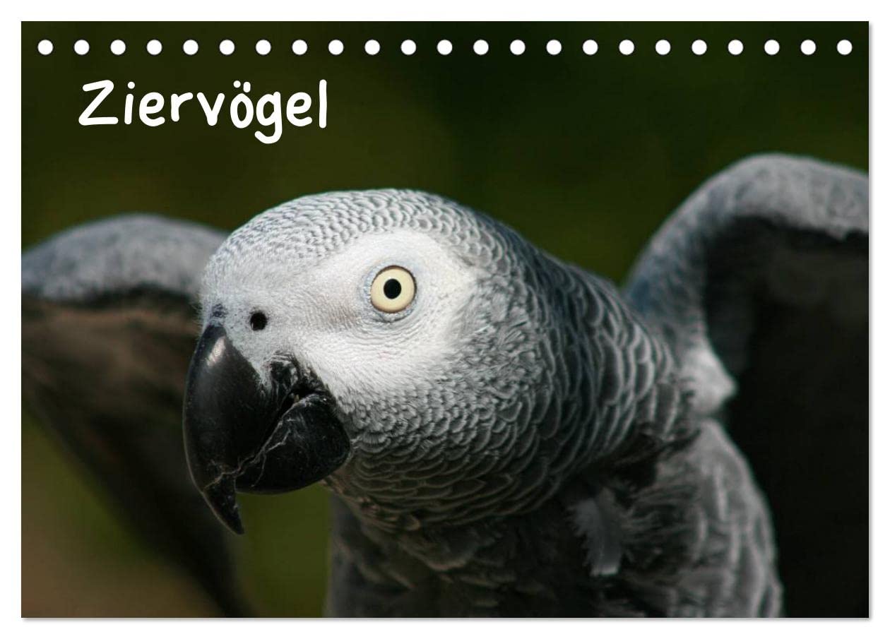 Ziervögel (Tischkalender 2024 DIN A5 quer), CALVENDO Monatskalender: Geflügelte Vielfalt (CALVENDO Tiere) Natural Sciences