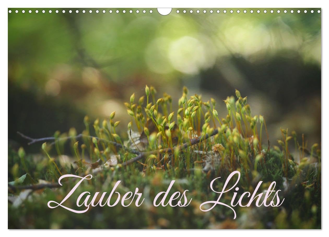 Zauber des Lichts (Wandkalender 2024 DIN A3 quer), CALVENDO Monatskalender: Die Natur und ihr zauberhaftes Licht (CALVENDO Natur) Social Sciences