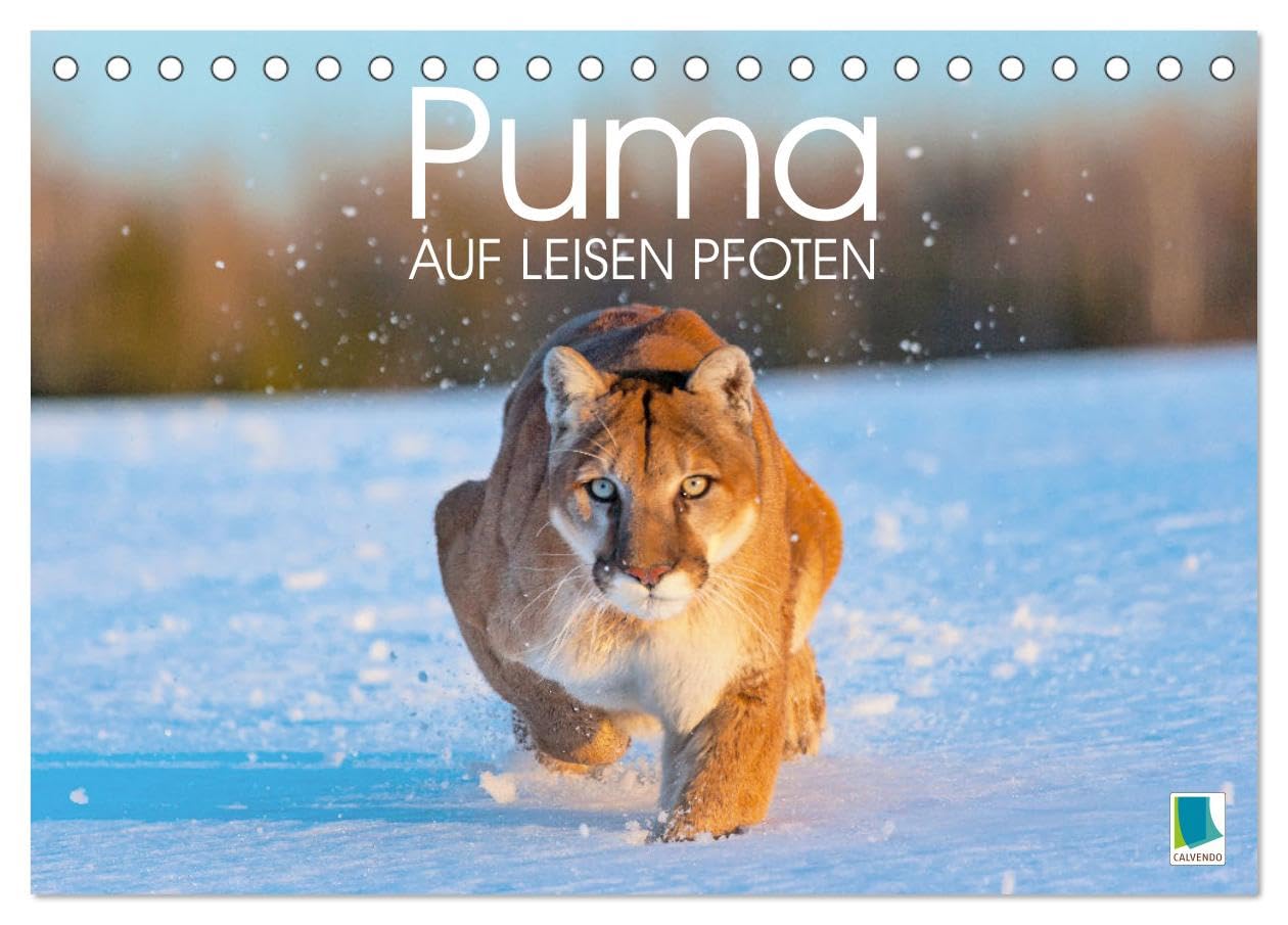 Puma: Auf leisen Pfoten (Tischkalender 2025 DIN A5 quer), CALVENDO Monatskalender: Berglöwe: Geschmeidige Raubkatze in rauher Natur (CALVENDO Tiere) Natural Sciences