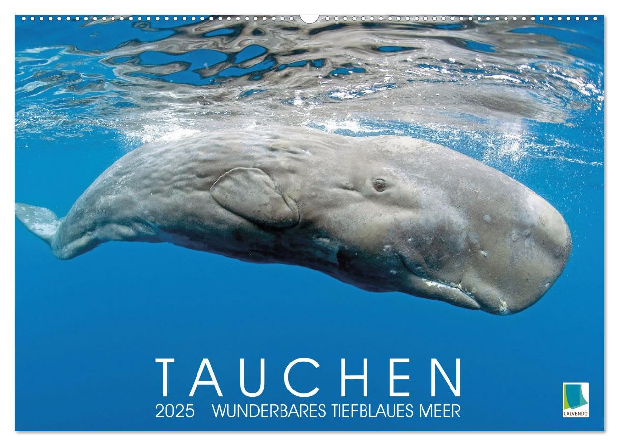 Tauchen: Wunderbares tiefblaues Meer (Wandkalender 2025 DIN A2 quer), CALVENDO Monatskalender: Großartige Unterwasseraufnahmen in der blauen Tiefe: Faszination Tauchen (CALVENDO Sport) Leisure, Home & Garden