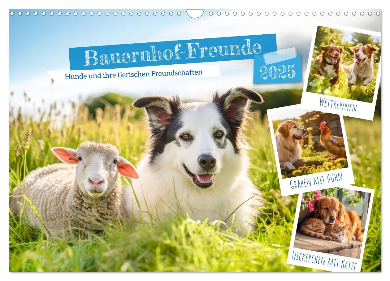 Bauernhof-Freunde - Hunde und ihre tierischen Freundschaften (Wandkalender 2025 DIN A3 quer), CALVENDO Monatskalender: Ein abwechslungsreichess Hundeleben auf dem Bauernhof (CALVENDO Tiere) Social Sciences