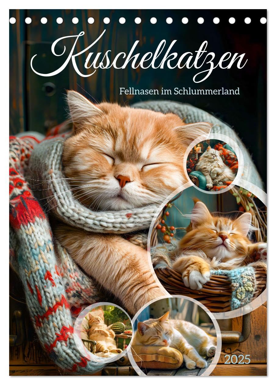 Kuschelkatzen - Fellnasen im Schlummerland (Tischkalender 2025 DIN A5 hoch), CALVENDO Monatskalender: Kuschelkatzen im Traumland: Ein Jahr voller Ruhe und Geborgenheit (CALVENDO Tiere) Social Sciences