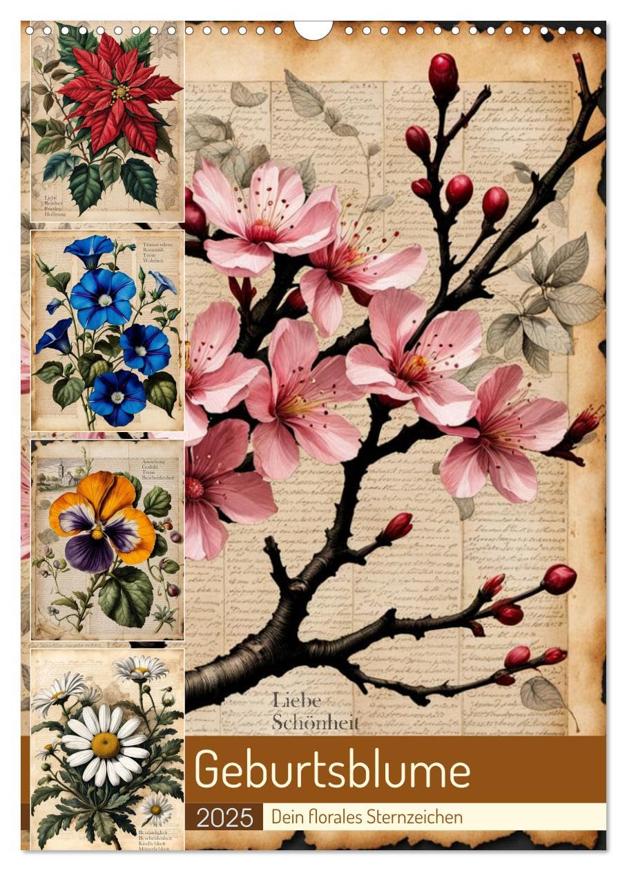 Geburtsblume, dein florales Sternzeichen (Wandkalender 2025 DIN A3 hoch), CALVENDO Monatskalender: Jeder Monat hat seine Blume mit besonderer Bedeutung. (CALVENDO Natur) Film, Art & Culture