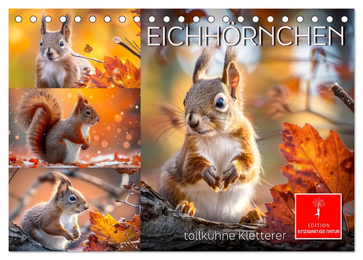 Eichhörnchen - tollkühne Kletterer (Tischkalender 2025 DIN A5 quer), CALVENDO Monatskalender: Putzige Nager - von den Menschen geliebt (CALVENDO Tiere) Living & Furnishing