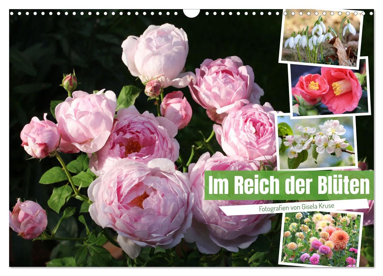 Im Reich der Blüten (Wandkalender 2025 DIN A3 quer), CALVENDO Monatskalender: Blumenfreude zu jeder Jahreszeit (CALVENDO Natur) Leisure, Home & Garden