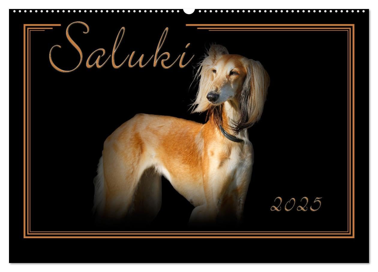Saluki 2025 (Wandkalender 2025 DIN A2 quer), CALVENDO Monatskalender: Saluki - Der persische Windhund. Liebevoll ausgesuchte Portraits. (CALVENDO Tiere) Natural Sciences