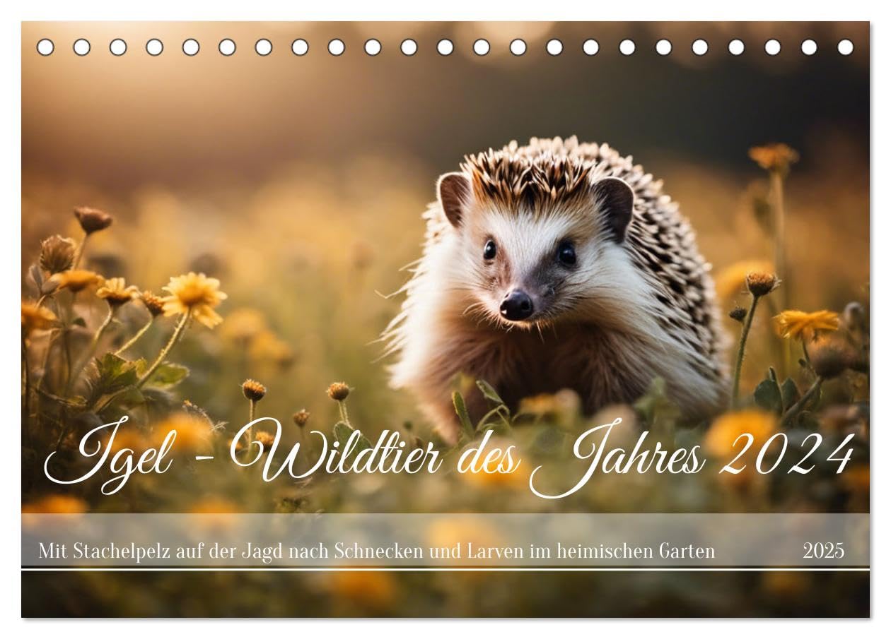 Igel - Wildtier des Jahres 2024 (Tischkalender 2025 DIN A5 quer), CALVENDO Monatskalender: Mit Stachelpelz auf der Jagd nach Schnecken und Larven im heimischen Garten (CALVENDO Tiere) Pets