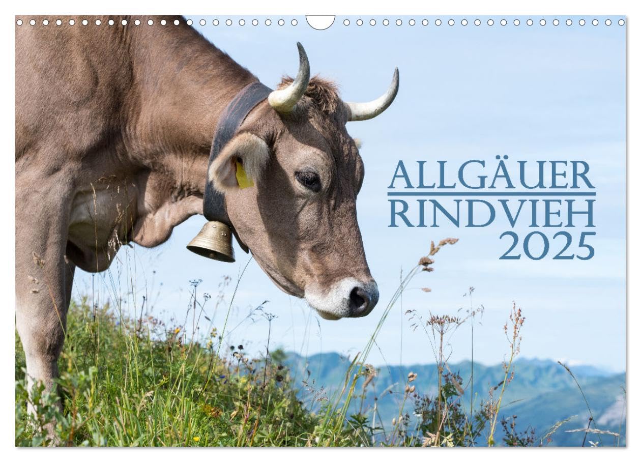 Allgäuer Rindvieh 2025 (Wandkalender 2025 DIN A3 quer), CALVENDO Monatskalender: Ein Kalender für alle Allgäu- und Kuhliebhaber. (CALVENDO Tiere) Film, Art & Culture