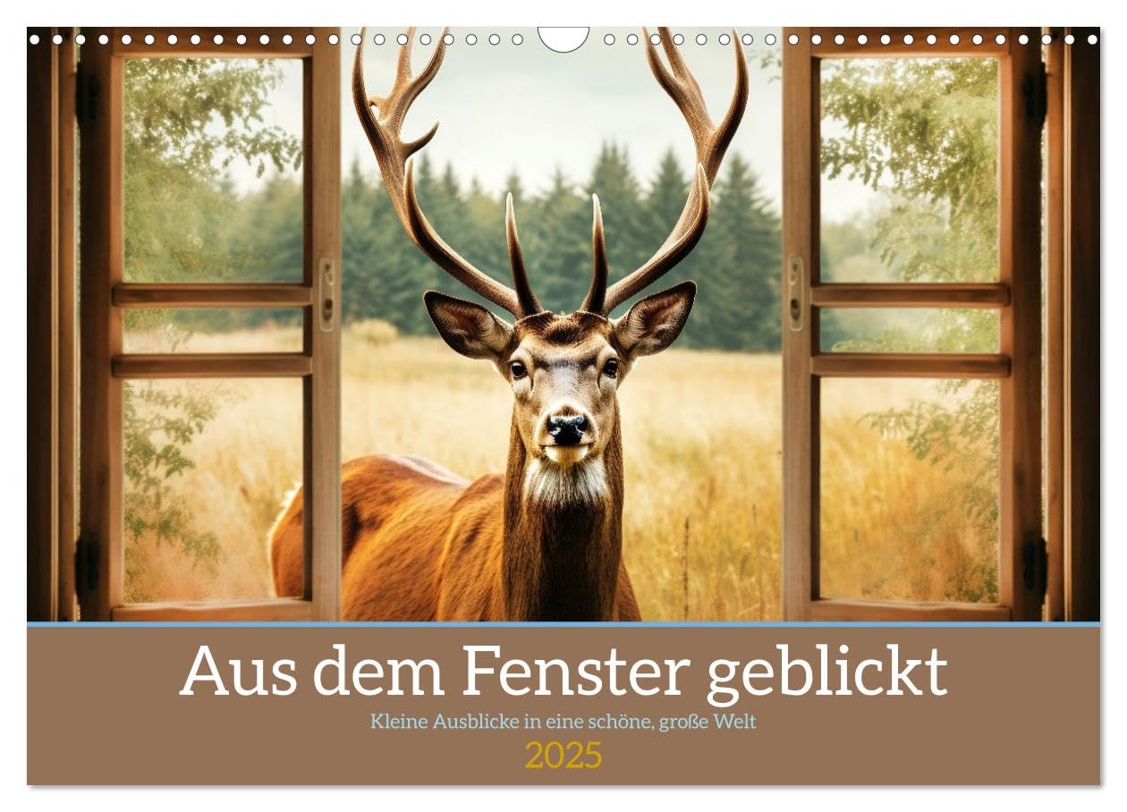 Aus dem Fenster geblickt (Wandkalender 2025 DIN A3 quer), CALVENDO Monatskalender: Kleine Fenster in eine schöne Welt! (CALVENDO Orte) Film, Art & Culture