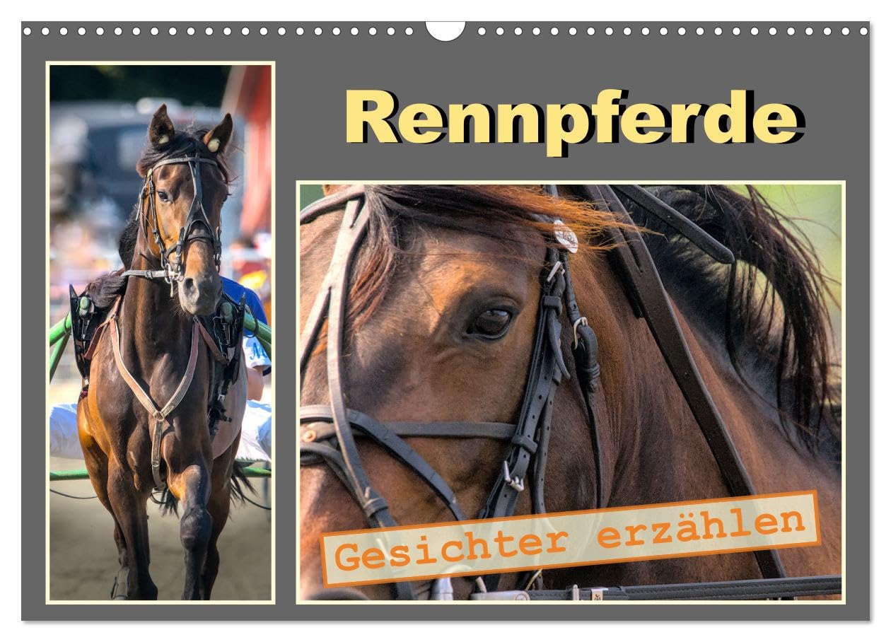 Rennpferde - Gesichter erzählen (Wandkalender 2025 DIN A3 quer), CALVENDO Monatskalender: Anmutige Portraits edler Vollblüter auf der Rennbahn (CALVENDO Tiere) Film, Art & Culture