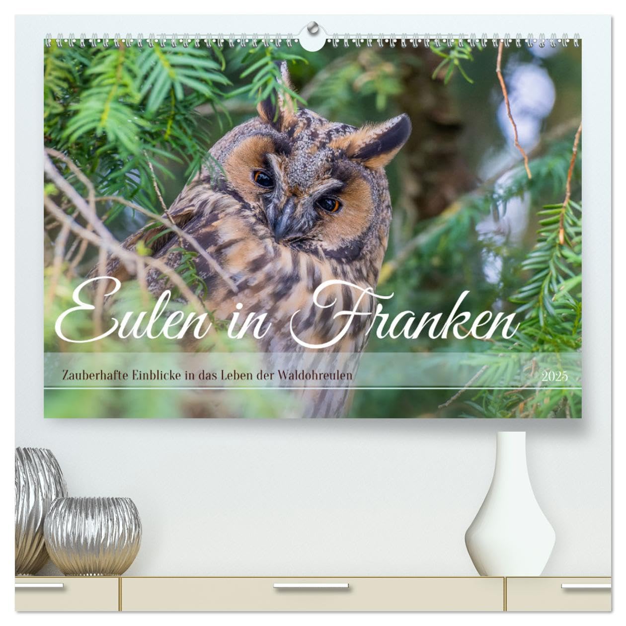 Eulen in Franken (hochwertiger Premium Wandkalender 2025 DIN A2 quer), Kunstdruck in Hochglanz: Als leidenschaftliche Tierfotografin freue ich mich, ... geben zu dürfen. (CALVENDO Tiere) Natural Sciences