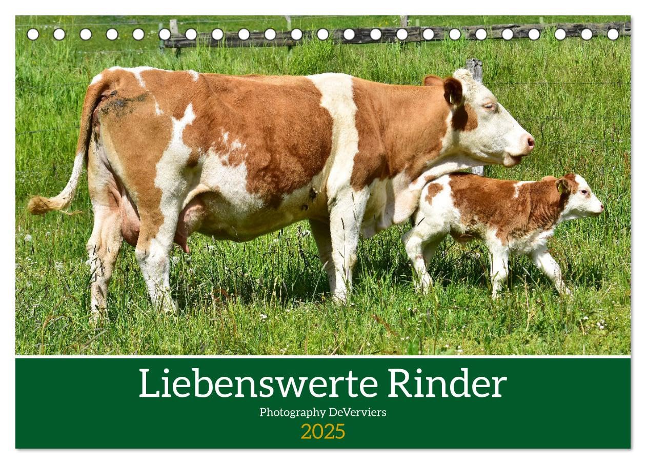 Liebenswerte Rinder (Tischkalender 2025 DIN A5 quer), CALVENDO Monatskalender: Nette Wiesenbewohner (CALVENDO Tiere) Photography