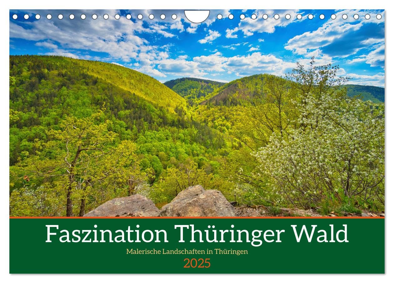 Faszination Thüringer Wald (Wandkalender 2025 DIN A4 quer), CALVENDO Monatskalender: Impressionen vom südlichen Thüringer Wald mit seinen Flüssen und Talsperren. (CALVENDO Natur) Film, Art & Culture