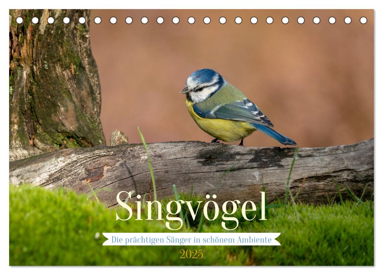 SINGVÖGEL - Die prächtigen Sänger in schönem Ambiente (Tischkalender 2025 DIN A5 quer), CALVENDO Monatskalender: Besonders schöne Aufnahmen unserer Sperlingsvögel. (CALVENDO Tiere) Film, Art & Culture
